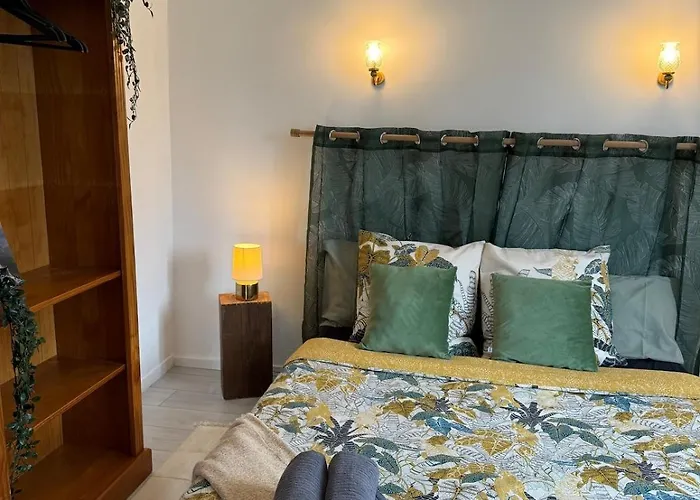 La Maison Auguste - Vue Imprenable Sur La Cite Feriehus Carcassonne