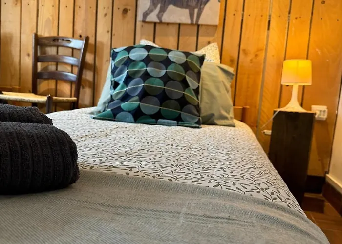 La Maison Auguste - Vue Imprenable Sur La Cite Feriehus Carcassonne